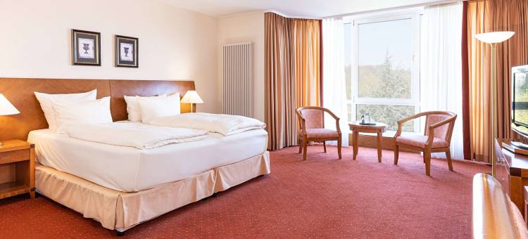 维克多罗登霍夫皇宫贝斯特韦斯特酒店(Best Western Victors Residenz-Hotel Rodenhof)图片