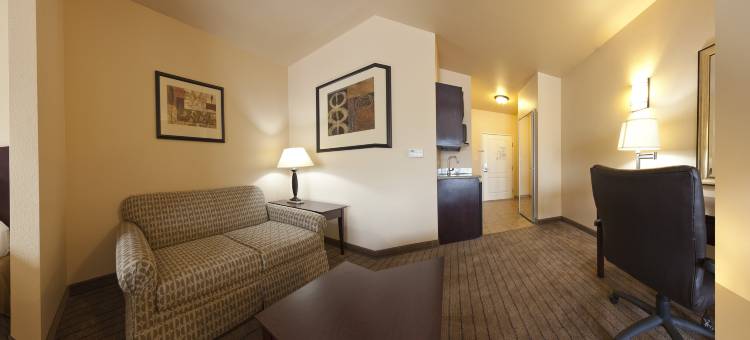 智选假日套房酒店马歇尔(Holiday Inn Express & Suites Marshall)图片