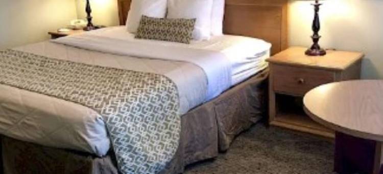 灯升客栈(Lamp Liter Inn)图片