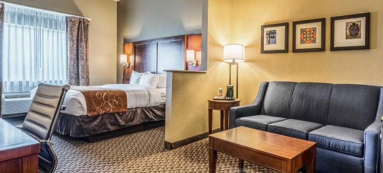 舒适套房酒店-近德州大学(Comfort Suites Near Texas State University)图片