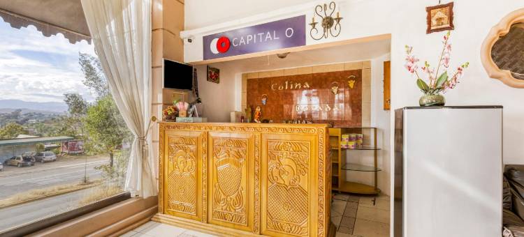 Capital O 金色山丘(Capital O Colina Dorada)图片