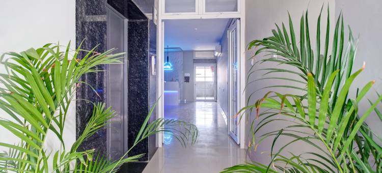 Super Collection O ISBT图片