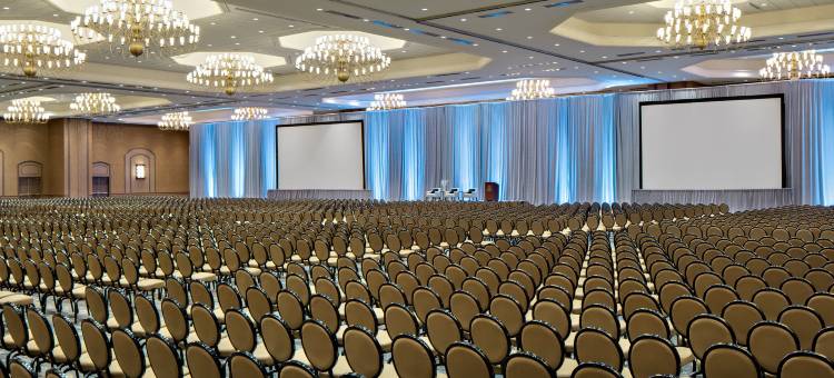 达拉斯喜来登酒店(Sheraton Dallas Hotel)图片