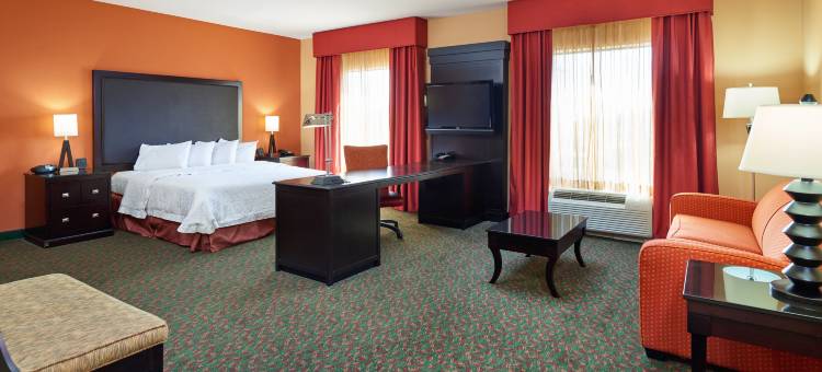 韦科南欢朋酒店(Hampton Inn & Suites Waco-South)图片