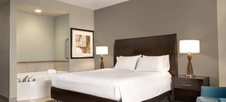 明尼阿波利斯市区希尔顿花园酒店(Hilton Garden Inn Minneapolis Downtown)图片