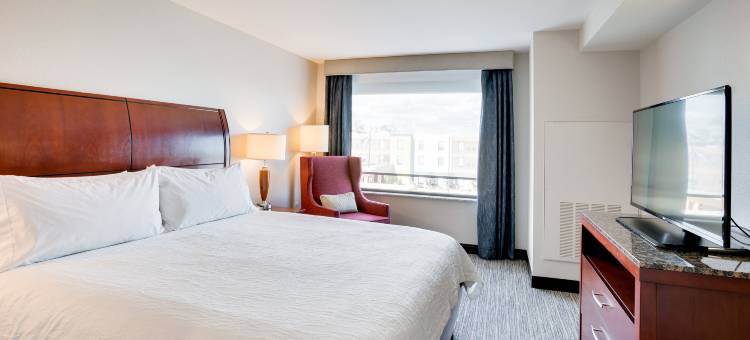 密尔沃基机场希尔顿花园酒店(Hilton Garden Inn Milwaukee Airport)图片