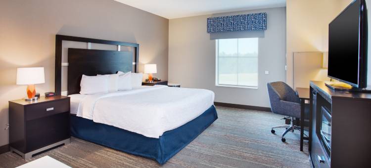 哥伦比亚/杰克逊堡东南部欢朋酒店(Hampton Inn & Suites Columbia Southeast Ft. Jackson)图片