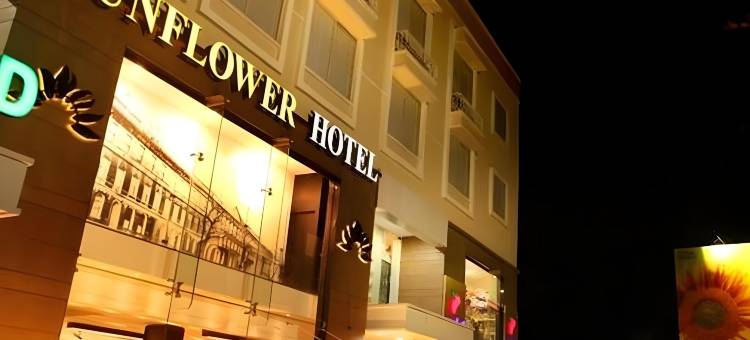 向日葵酒店(Sunflower Hotel)图片