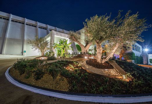 MarSenses Rosa del Mar Hotel & Spa Hotel Overview