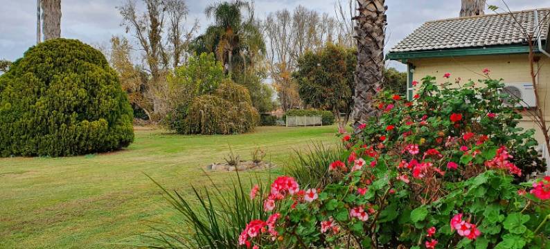 阿斯顿汽车旅馆 - 塔姆沃思(The Aston Motel Tamworth)图片