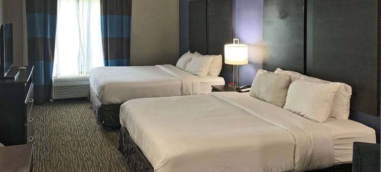 北哥伦布舒适套房酒店(Comfort Inn & Suites Columbus North)图片