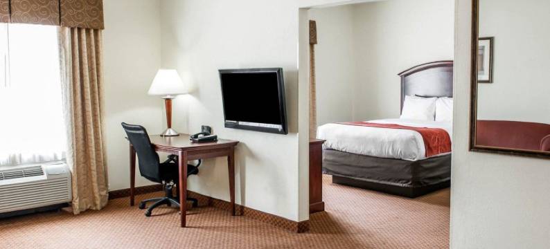 舒适套房酒店-近印第安纳波利斯机场(Comfort Suites Near Indianapolis Airport)图片