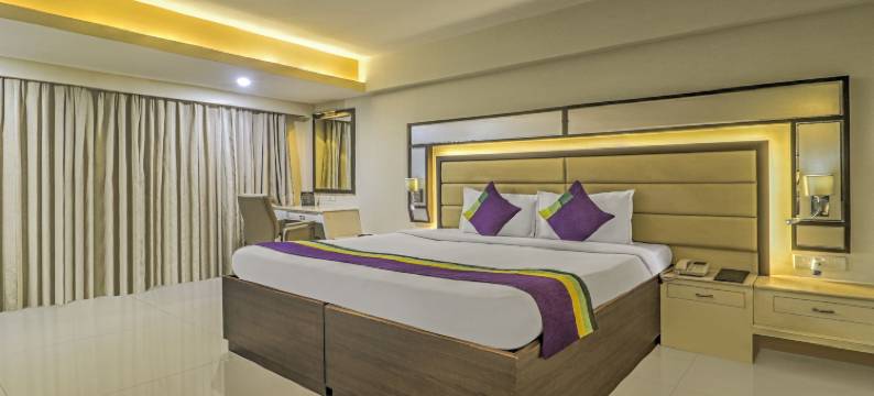 Treebo 高级大都会(Treebo Premium Metropolis)图片