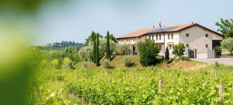 甜生活中继站(Relais la Dolce Vite)图片