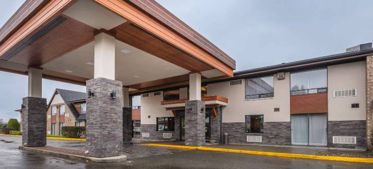 舒适酒店(Comfort Inn)图片