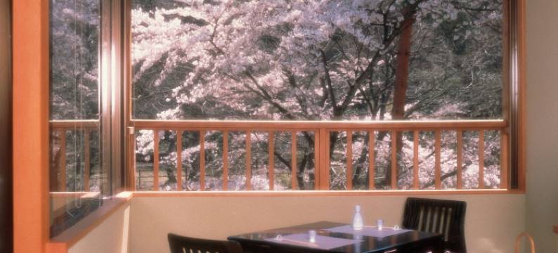 金盛馆Seseragi日式旅馆(Kinseikan Seseragi)图片