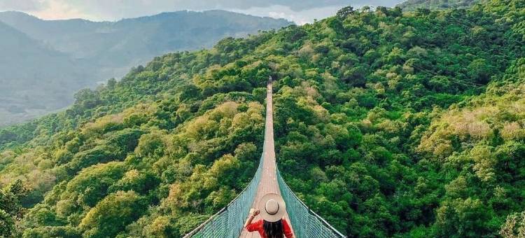 拉斯莫雷纳斯 - 特雷斯卢纳斯圆顶屋(Tres Lunas Domo)图片