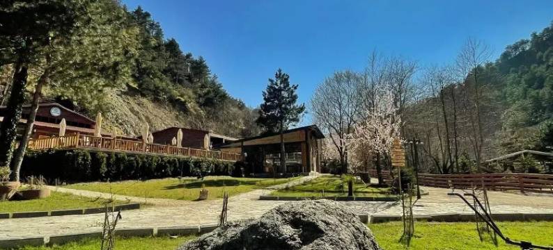 Feel & Live酒店别墅餐厅(Feel & Live Hotel Villas Restaurant)图片