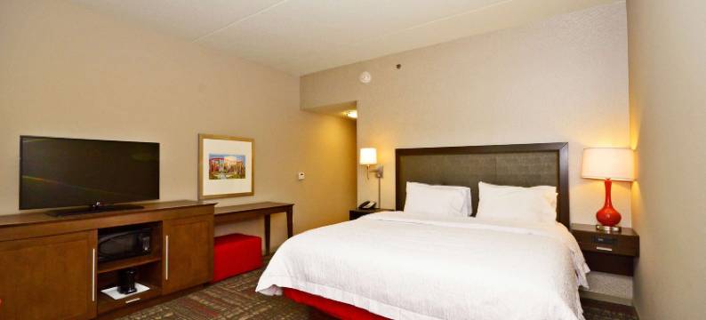 希尔顿欢朋酒店-普拉斯基(Hampton Inn Pulaski)图片