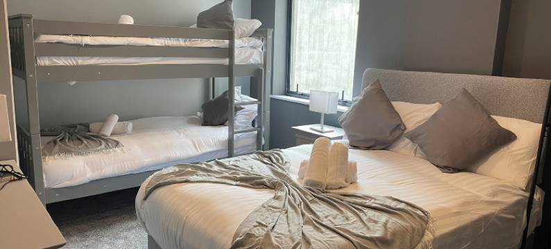 麦迪逊房子(Madison House)图片