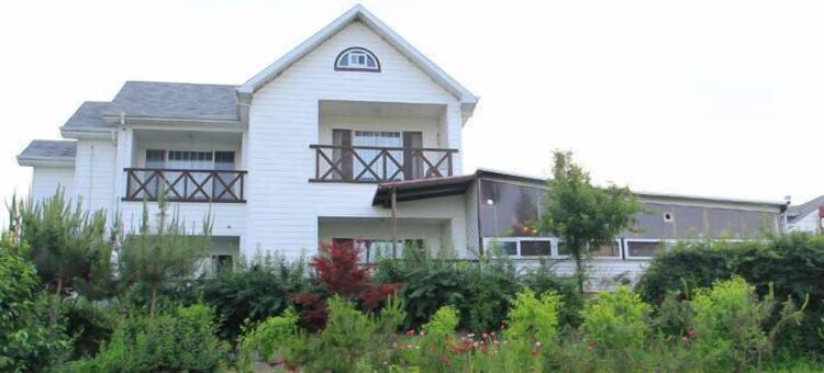 海洋兹普山上白色之家酒店(White House on the Hill HayanZip)图片