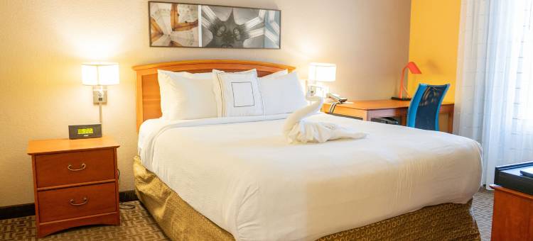 达拉斯拉斯科林纳斯万豪TownePlace酒店(TownePlace Suites Dallas Las Colinas)图片