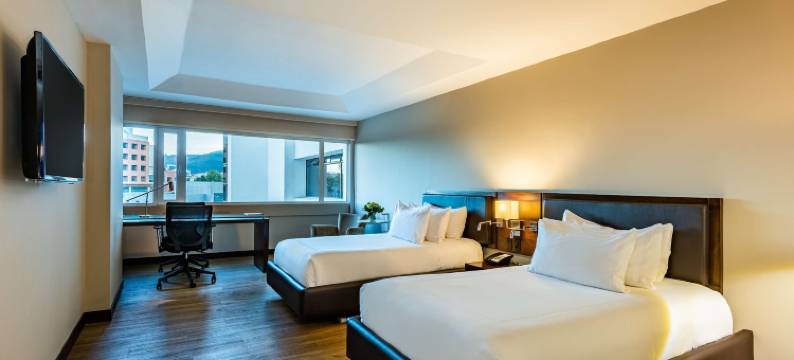 波哥大 WTC 皇家 NH 精选酒店(NH Collection Bogotá WTC Royal)图片