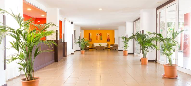 坎加胡斯中心公寓酒店(Apartamentos Centro Cancajos)图片