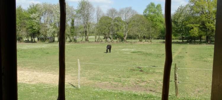 马车与马匹(Une Roulotte et des Chevaux)图片