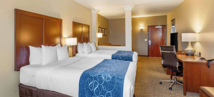 舒适套房酒店-近丹佛市区(Comfort Suites Near Denver Downtown)图片