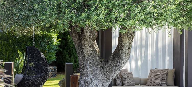 迪莫拉住宅(La Dimora)图片