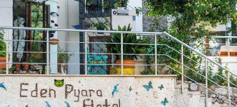 伊甸皮亚拉酒店图伦奇(Eden Pyara Hotel Turunc)图片