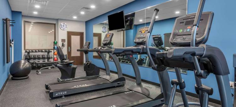 斯图尔特-哈钦森岛舒适套房酒店(Comfort Suites Stuart-Hutchinson Island)图片