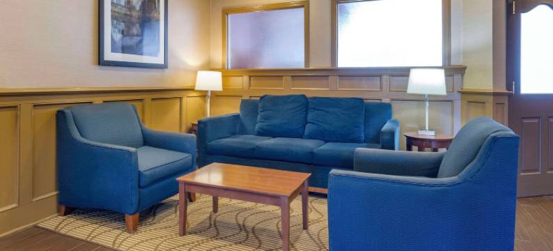 舒适套房酒店-拉芬列克星敦I-81和I-64附近(Comfort Inn & Suites Raphine - Lexington Near I-81 and I-64)图片