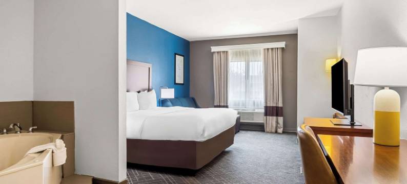 林代尔泰勒北舒适套房酒店(Comfort Suites Lindale)图片