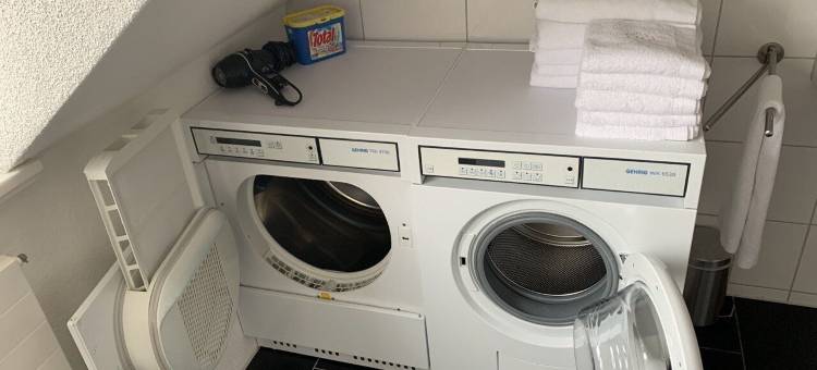 天空之家车站附近乐闻普拉茨公寓(Löwenplatz Apartment Near Station by Airhome)图片