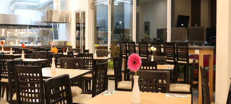 圣路易斯波托西使命快捷酒店(Hotel Misión Express San Luis Potosí)图片