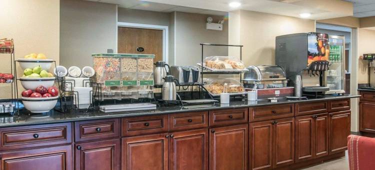 索格蒂斯舒适酒店(Comfort Inn)图片