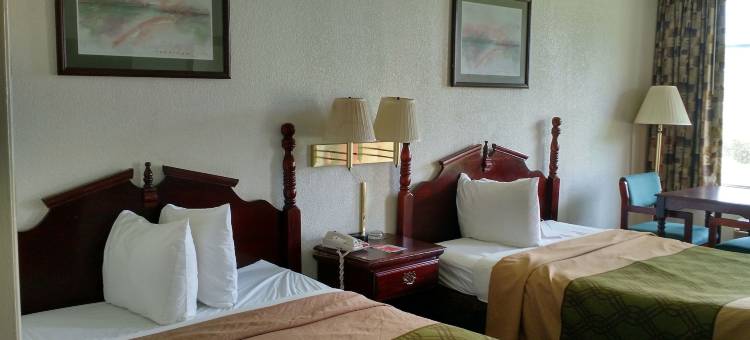 托马斯维尔伊克诺旅馆(Econo Lodge)图片