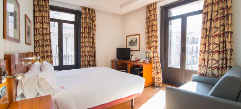 珀蒂宫普雷西亚多斯住宿(Petit Palace Preciados)图片