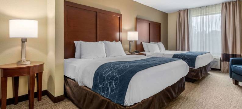 代顿赖特帕特森舒适酒店(Comfort Suites Dayton-Wright Patterson)图片