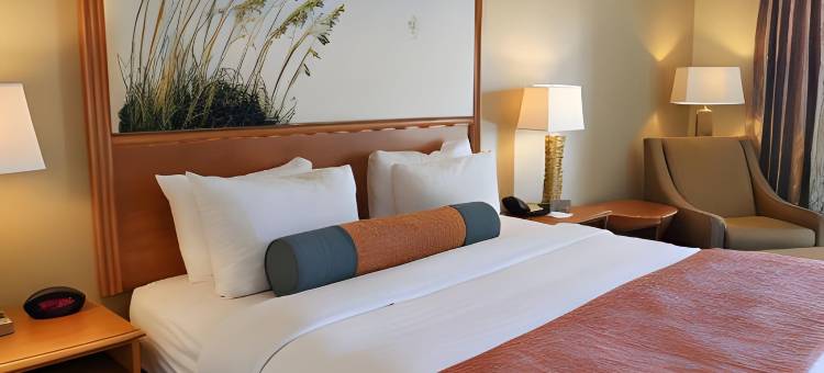 萨拉索塔西埃斯特基盖特威希尔顿斯巴克酒店(Spark by Hilton Sarasota Siesta Key Gateway)图片