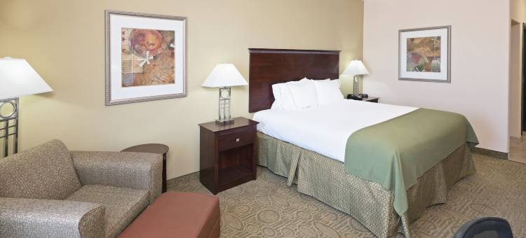 智选假日套房酒店布朗菲尔德(Holiday Inn Express & Suites Brownfield)图片