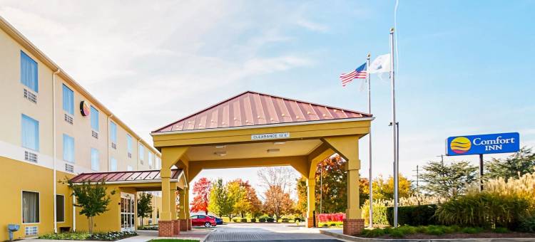 舒适酒店(Comfort Inn)图片