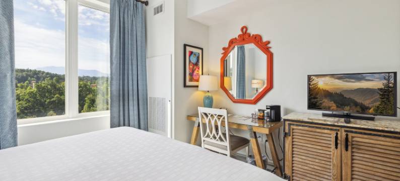 达莱坞梦想度假村(Dollywood's DreamMore Resort and Spa)图片