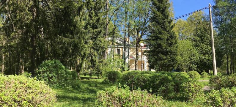 玛里夫卡庄园乡村酒店(Country Hotel Usadba Maleevka)图片