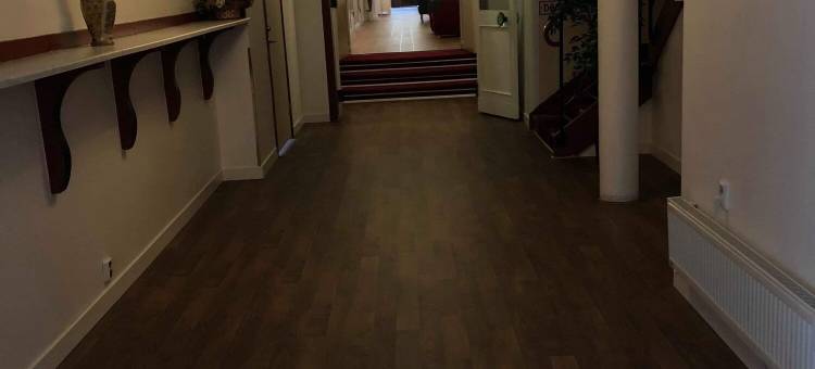 比奥尼德特酒店(Hotell Björnidet)图片