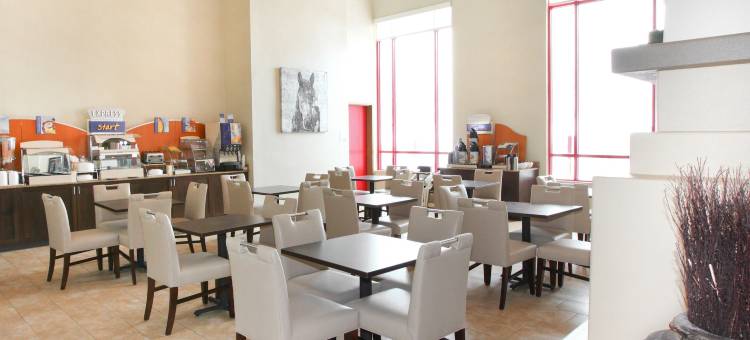 北奥拉西智选假日酒店及套房(Holiday Inn Express & Suites Olathe North)图片