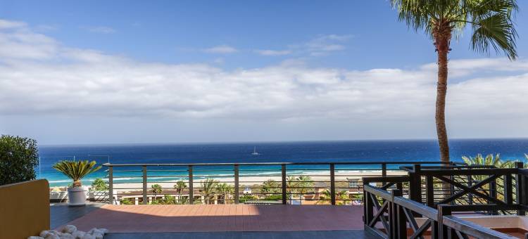 汉迪亚海滩西方酒店(Occidental Jandía Playa)图片