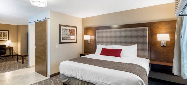 密歇根格兰维尔 - 大急流城西丽怡酒店(Country Inn & Suites by Radisson, Grandville-Grand Rapids West, MI)图片